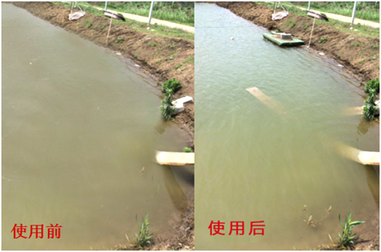 渾濁水、對(duì)蝦吃料差怎么處理？